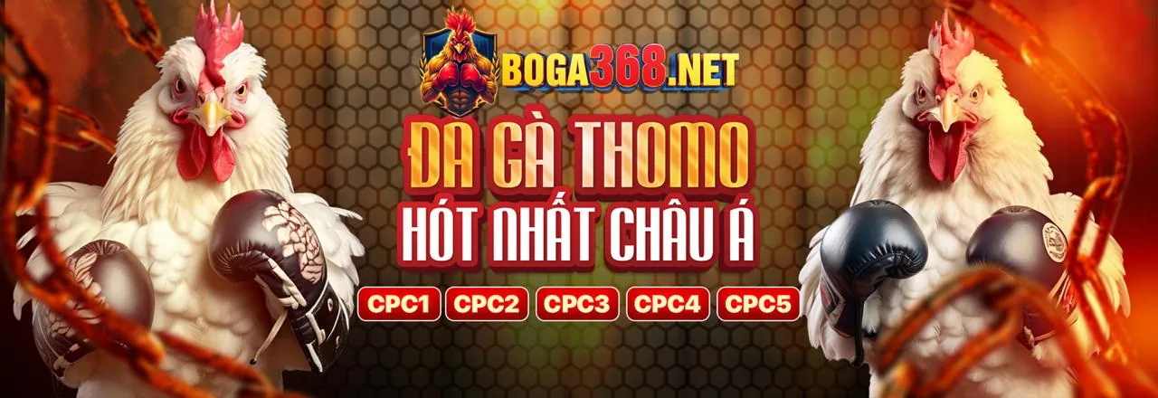 Hình ảnh minh họa sự đa dạng của các loại trò chơi slot tại bl5555