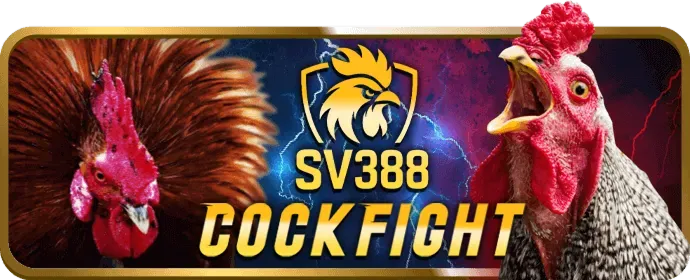 Hỗ trợ khách hàng bl5555